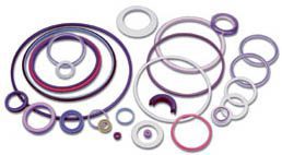 PTFE Seals - Spring Energized Seals 